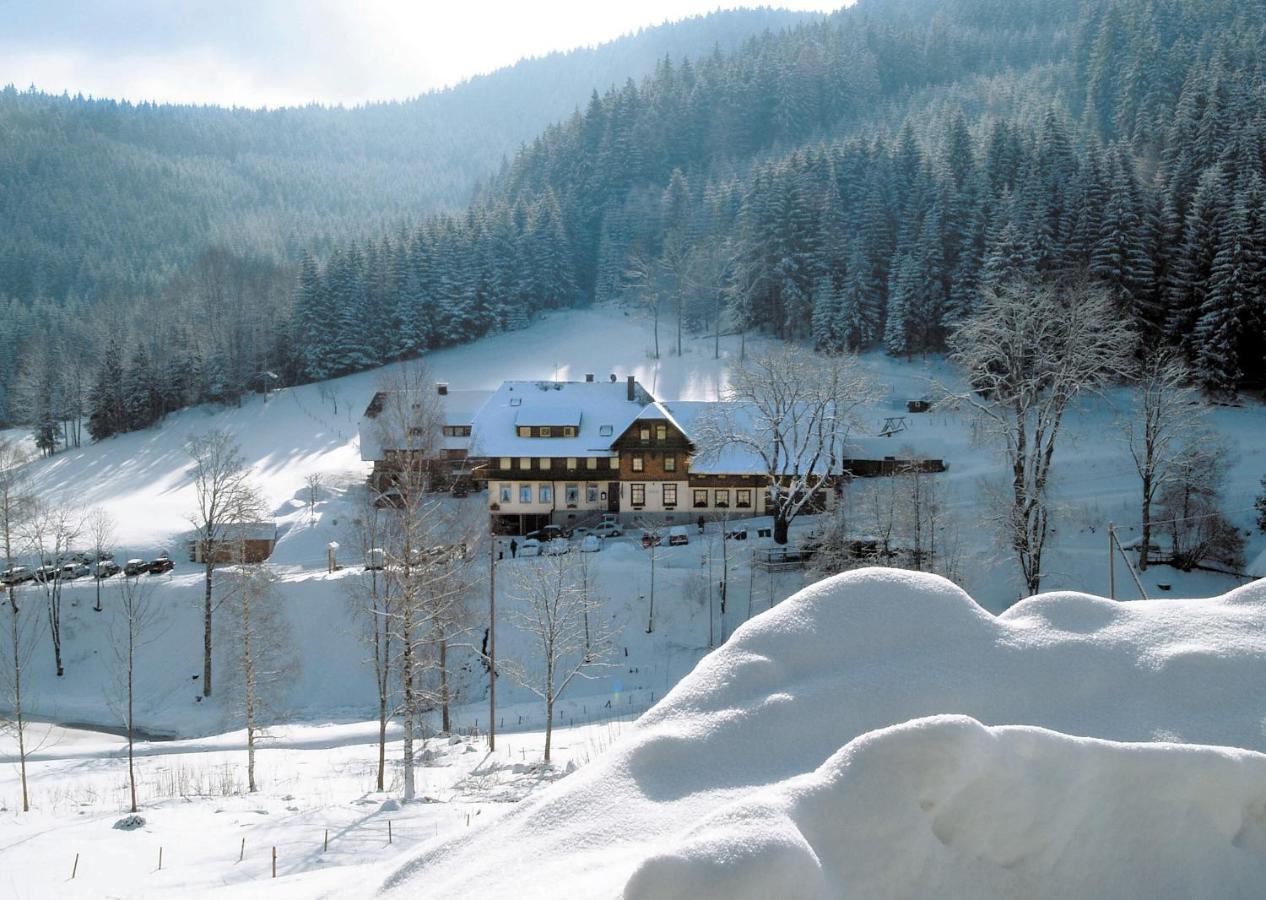 Waldhotel Fehrenbach Хинтерцартен Экстерьер фото