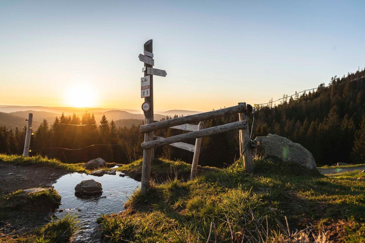 Waldhotel Fehrenbach Хинтерцартен Экстерьер фото