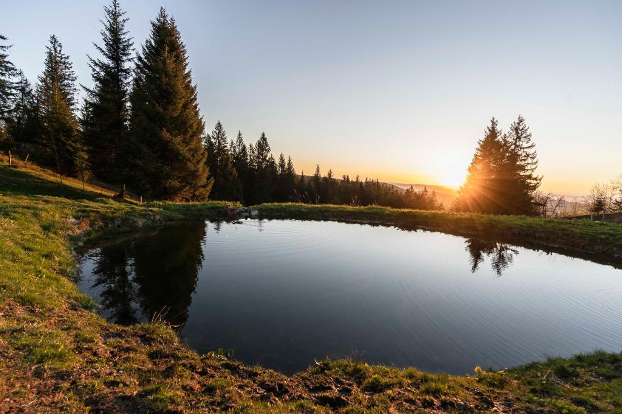 Waldhotel Fehrenbach Хинтерцартен Экстерьер фото