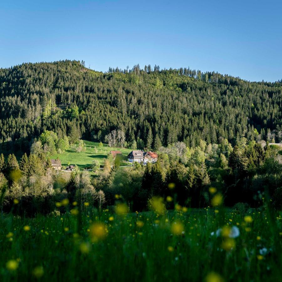 Waldhotel Fehrenbach Хинтерцартен Экстерьер фото